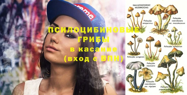 гашишное масло Дмитровск