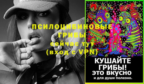 ECSTASY Дмитриев