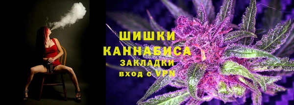дурь Гусев