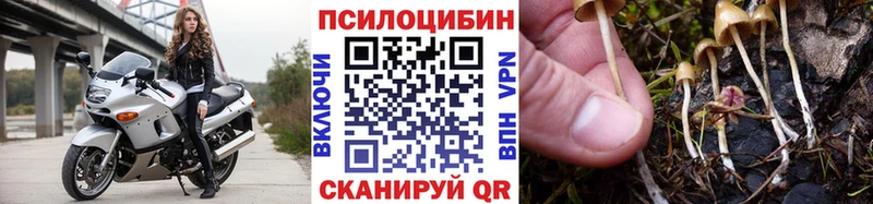 Галлюциногенные грибы Cubensis  Купить закладки  Красный Сулин 